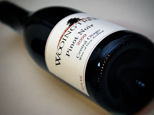 ಸೆಂಟ್ರಲ್ ಓಟೆಗೋ ಪಿನಾಟ್ ನೋಯರ್ 2009 