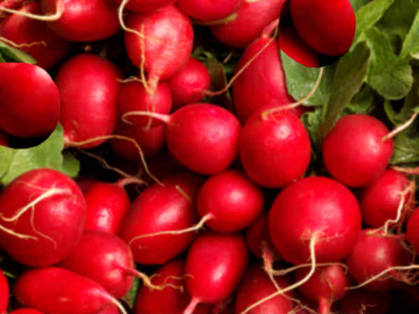 8. ಕೆಂಪು ಮೂಲಂಗಿ