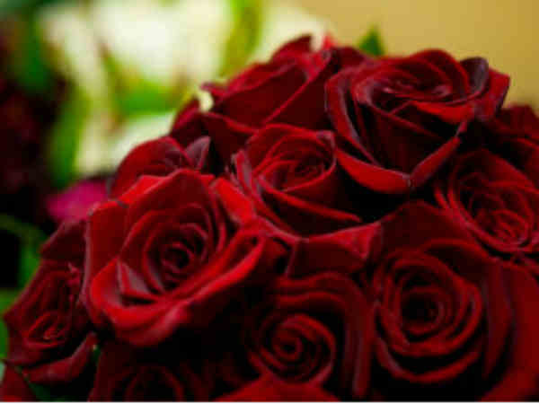  ಗುಲಾಬಿ ಹೂ