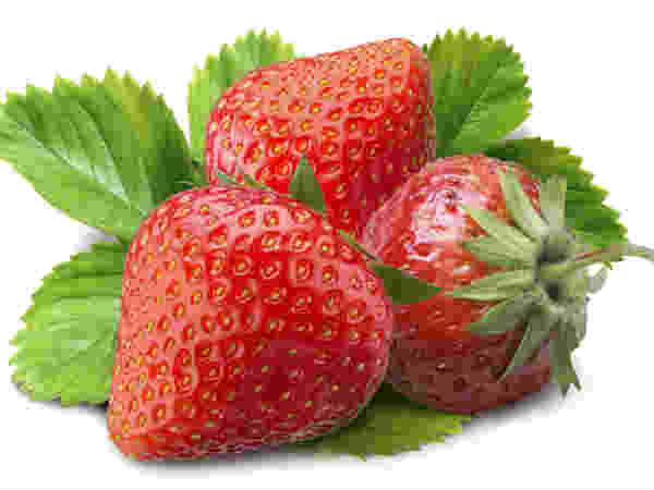 ಬೆರ್ರಿ ಹಣ್ಣುಗಳು