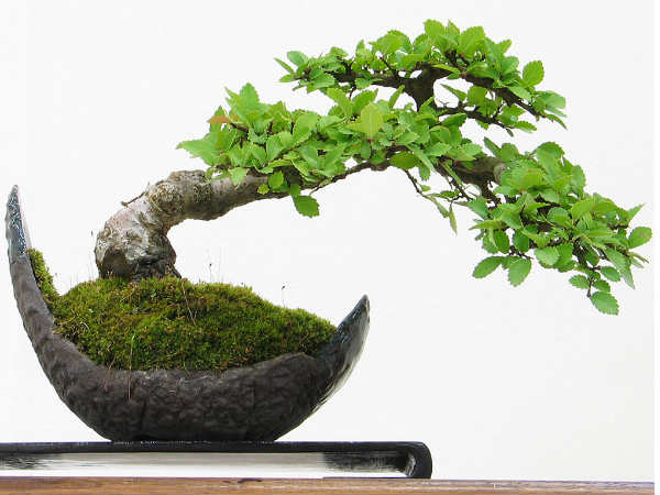 ನಿಮ್ಮ ಮನೆಯ ಧನಾತ್ಮಕತೆಯನ್ನು ಹೆಚ್ಚಿಸಿಕೊಳ್ಳಿ