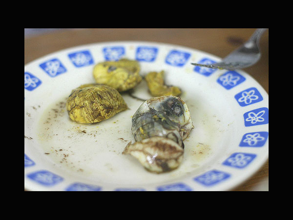 ಮೆಕ್ಸಿಕೋದ Escamoles ಎಂಬ ಅಡುಗೆ