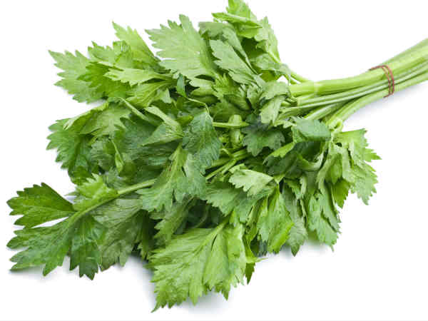 ಸೆಲರಿ ಸೊಪ್ಪು