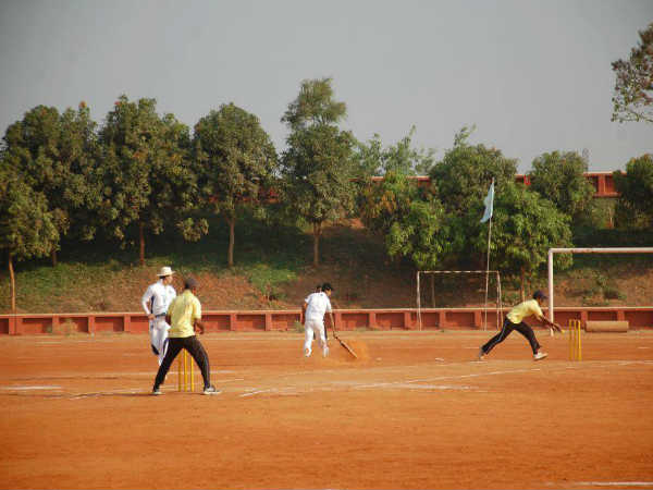 ಕ್ರಿಕೆಟ್