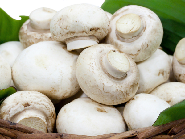 12. ಮಶ್ರೂಮ್ಸ್/ಅಣಬೆಗಳು