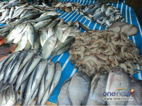 3.ಪ್ರೋಟೀನ್ಸ್