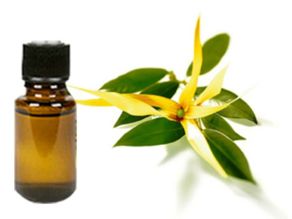 3.ಸುಗಂಧ ದ್ರವ್ಯ ತೈಲ(ಯ್ಲಾಂಗ್ ಎಣ್ಣೆ)