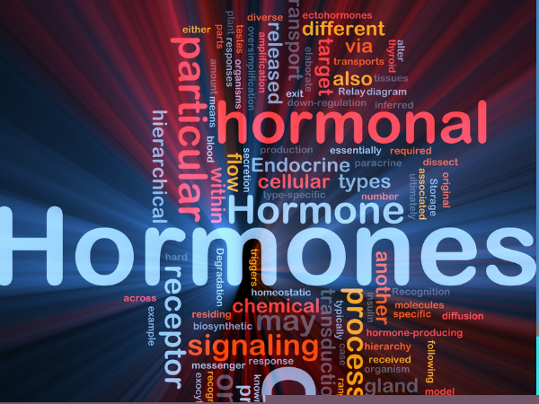 ಹಾರ್ಮೋನ್ ಅನ್ನು ಸಮತೋಲಿತವಾಗಿದುತ್ತದೆ