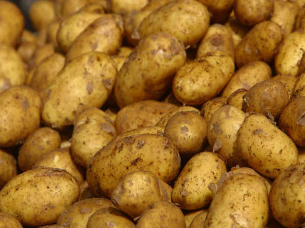 6. ಅಜೈವಿಕ ಆಲೂಗಡ್ಡೆಗಳು