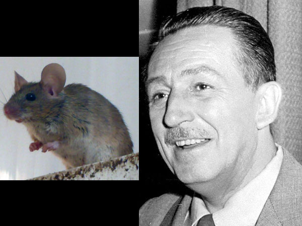 ವಾಲ್ಟ್ ಡಿಸ್ನಿ