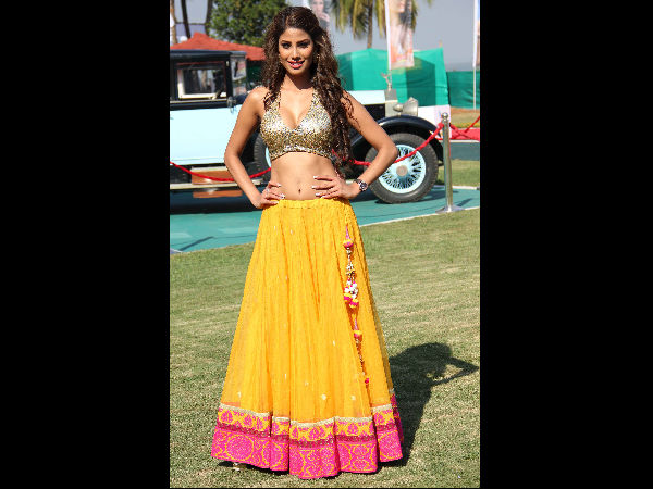 ಕಿಂಗ್‌ಫಿಶರ್ ಕ್ಯಾಲೆಂಡರ್ 2014 ಬಿಡುಗಡೆ