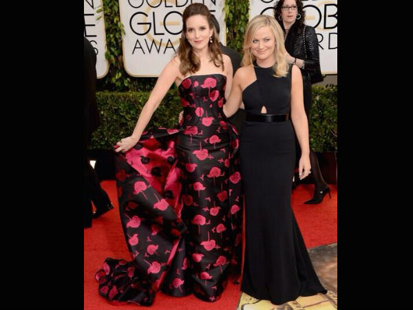 ಟಿನಾ ಫೇ ಮತ್ತು ಆಮಿ ಪೊಹಿಲರ್: 