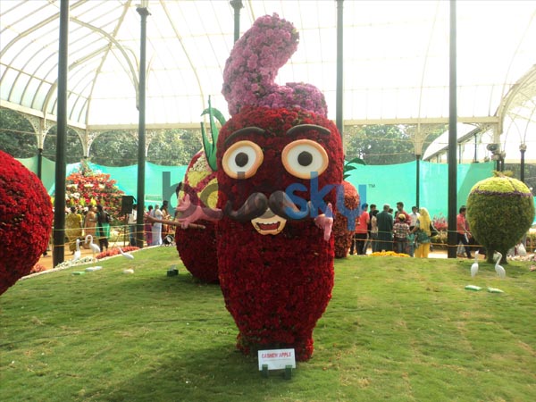 ನಾವೀನ್ಯತೆಯ ಹೊಳಪು