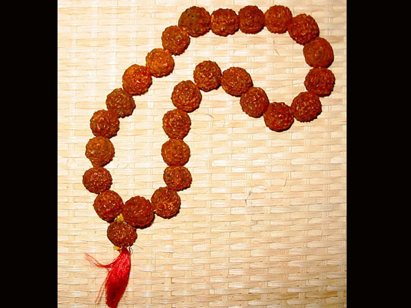 ಚತುರ್ಮುಖ ಹೊಂದಿರುವ ರುದ್ರಾಕ್ಷ: 