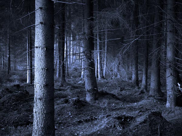 ಮರಣ ಲಕ್ಷಣ # 3: