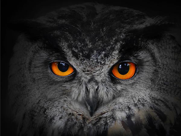 ಮರಣ ಲಕ್ಷಣ # 10: