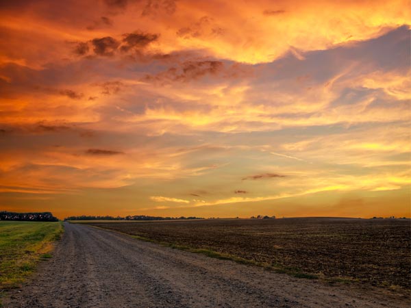 ಮುಂಜಾನೆ ಮತ್ತು ಮುಸ್ಸಂಜೆಯ ವೇಳೆ ಜಾಗರೂಕರಾಗಿರಿ: ಮುಂಜಾನೆ ಮತ್ತು ಮುಸ್ಸಂಜೆಯ ವೇಳೆ ಜಾಗರೂಕರಾಗಿರಿ: