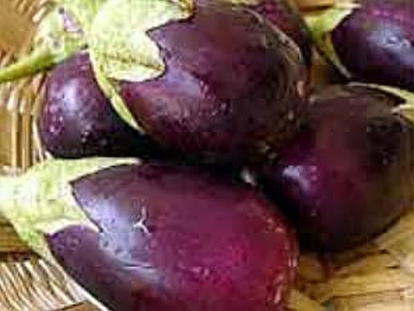 ಬದನೆಕಾಯಿ ಬದನೆಕಾಯಿ