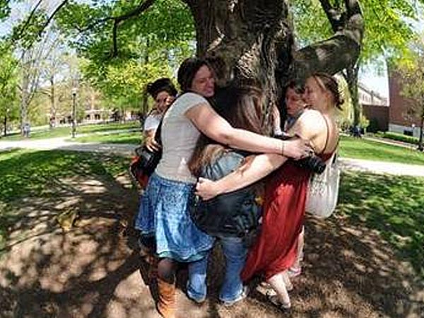 ಬಿಶನೊಯಿ ನಂಬಿಕೆ