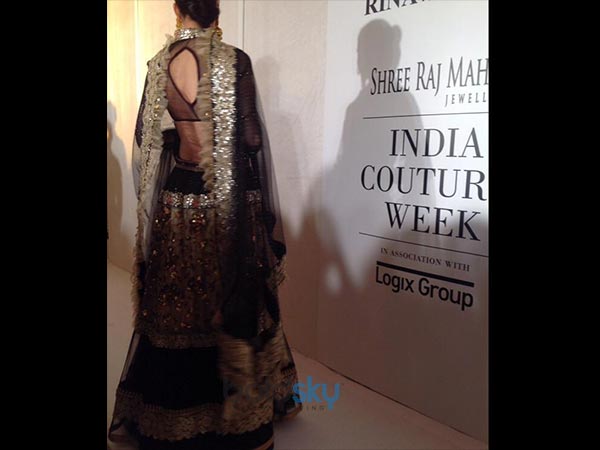 ಹಿಂಭಾಗದ ನೋಟ