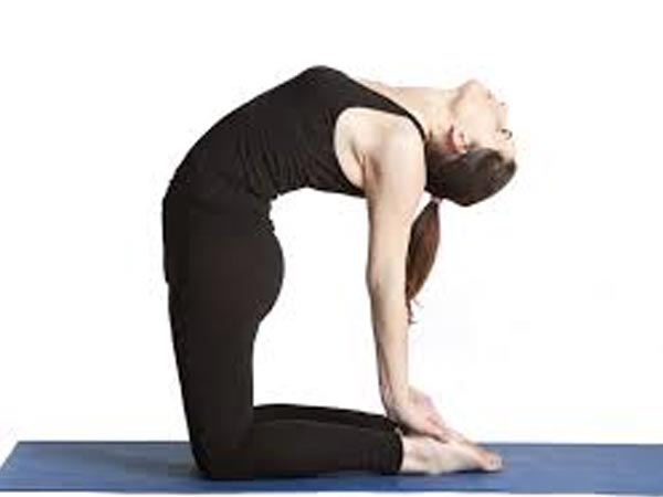 ಉಷ್ಟ್ರಾಸನ( ಒಂಟೆಯ ಭಂಗಿ)