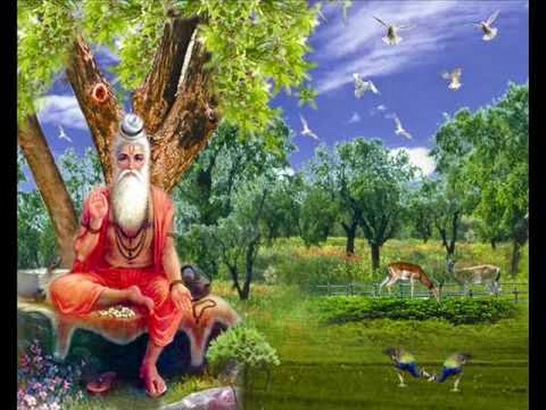 ಋಷಿ ಭೃಗುವಿನ ಶಾಪ 