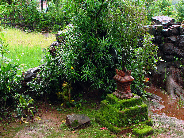 ತುಳಸಿ ದೇವತೆಯ ರೋಚಕ ಕಥೆ