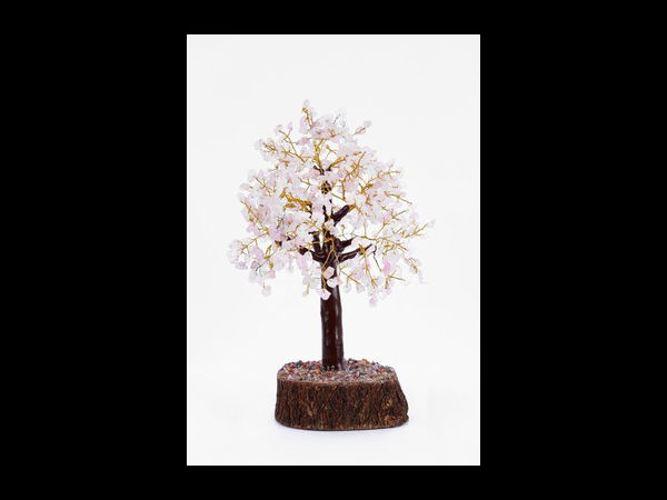 ಸತ್ಯಮಣಿ ಶೋ ಪೀಸ್