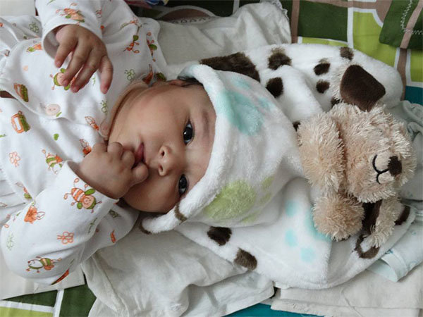 ಟೆಡ್ಡಿ ಹ್ಯಾಟ್ (Teddy Hat)