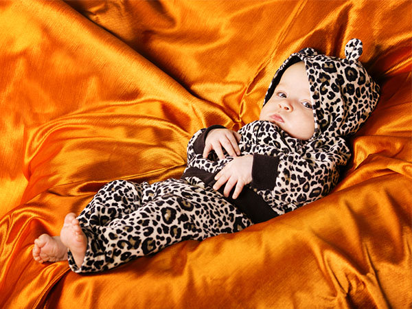 ಚಿರತೆ ಮರಿ!