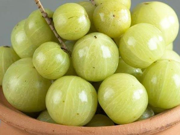 ಆಮ್ಲ ಅಥವಾ ಭಾರತೀಯ ತಳಿಯ ನೆಲ್ಲಿ