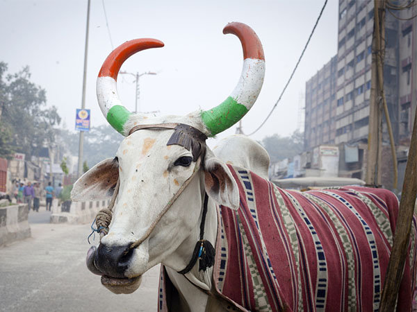 ಯಜ್ಞಯಾಗಾದಿಗಳಲ್ಲಿ