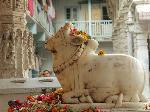 ಹಿ೦ದೂಗಳೇಕೆ ಗೋಮಾ೦ಸವನ್ನು ಭಕ್ಷಿಸಲಾರರು?