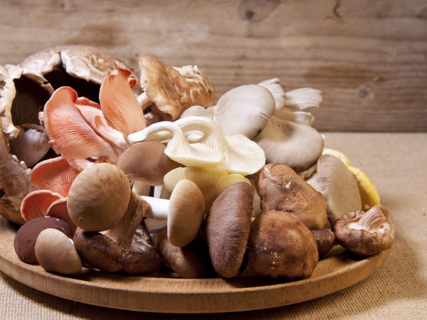 ಬಿಳಿಯ ಅಣಬೆ