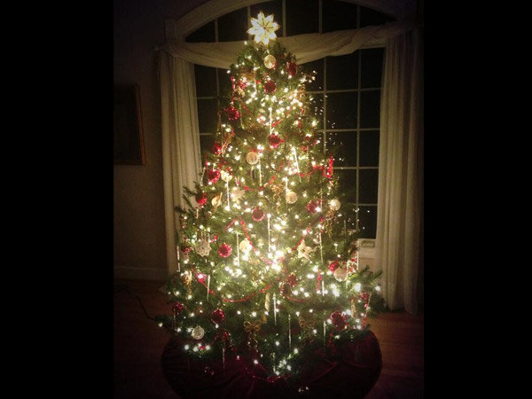 ವಿದ್ಯುದ್ದೀಪಗಳು