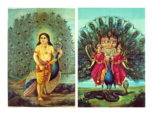 Birth story of Lord Kartikeya