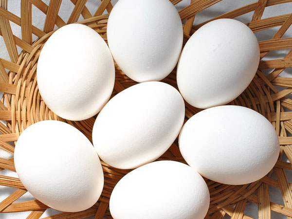 ಮೊಟ್ಟೆಗಳು