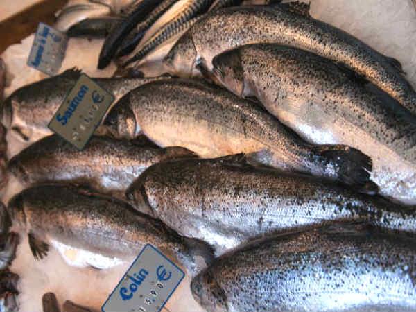 Easy Tips for Planning a Healthy Life style