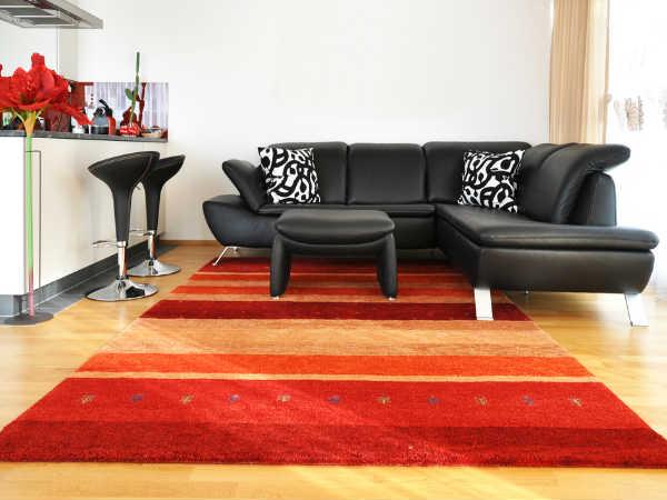 ನೆಲದ ಮೇಲೆ ಹಾಸಿರುವ ಹಾಸು ನೆಲದ ಮೇಲೆ ಹಾಸಿರುವ ಹಾಸು