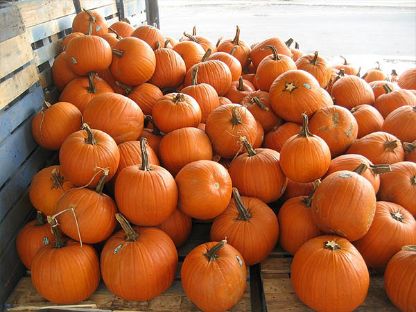 Incredible Health Benefits Of Pumpkin