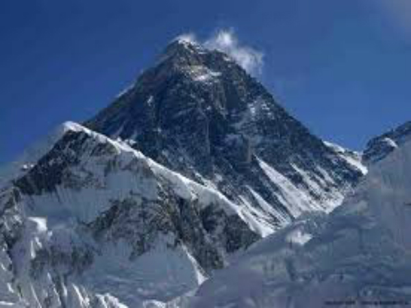 ಜೇಡಗಳ ಮನೆ ಜೇಡಗಳ ಮನೆ