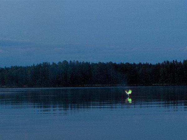 ದೆಹಲಿಯ ಅಗ್ರಾಸೆನ್ ಕೀ ಬಾವ್ಡಿ