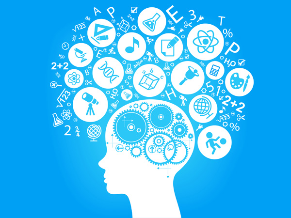 ಮೆದುಳಿನಲ್ಲಿ ಎರಡು ವಿಧದ ದ್ರವ್ಯಗಳಿವೆ