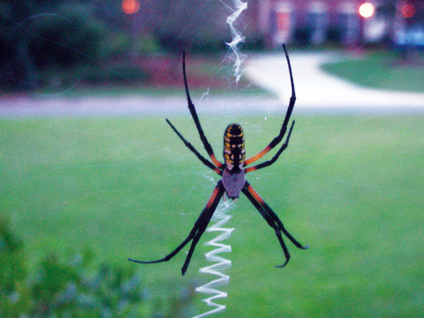 ಜೀವನದಲ್ಲಿ ಸಮತೋಲನದ ಅವಶ್ಯಕತೆಯ ಸೂಚನೆ