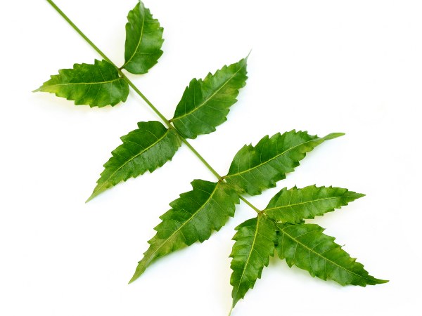  ಚರ್ಮದ ಕಾಂತಿಗೆ ಸಹಕಾರಿ