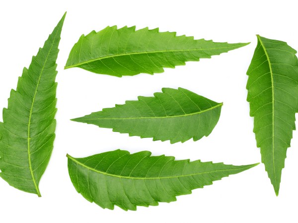 ಮಲೇರಿಯಾ 