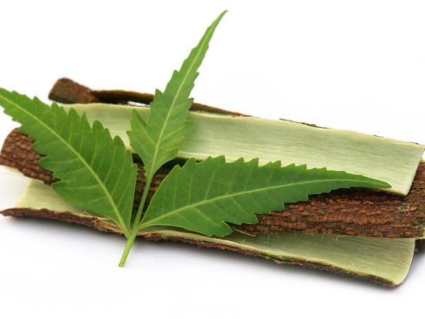 ಸಂಧಿವಾತಕ್ಕೆ