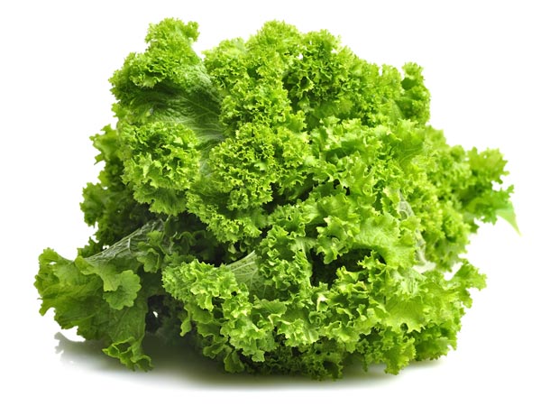 5 Best Foods To Conceive