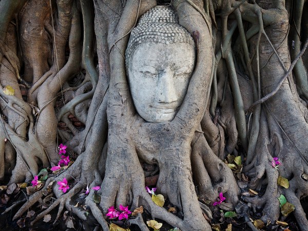 ಸಂತರ ಜೊತೆಗೆ ಸಂಬಂಧ
