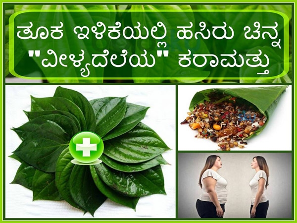 ಉಪಯೋಗಿಸುವ ವಿಧಾನ